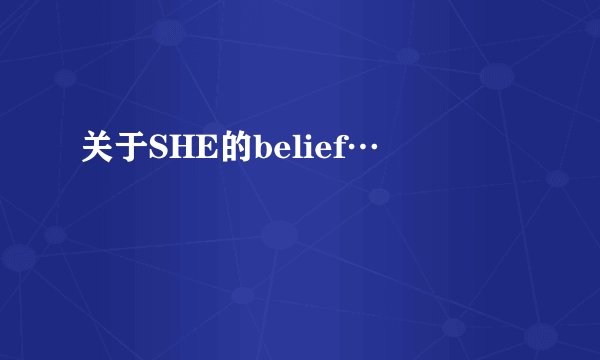 关于SHE的belief…