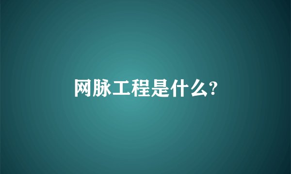 网脉工程是什么?