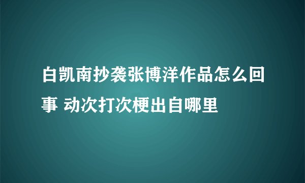 白凯南抄袭张博洋作品怎么回事 动次打次梗出自哪里