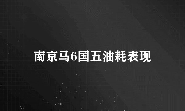 南京马6国五油耗表现