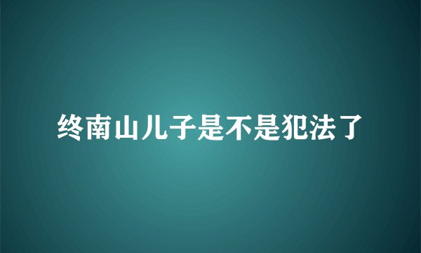 终南山儿子是不是犯法了