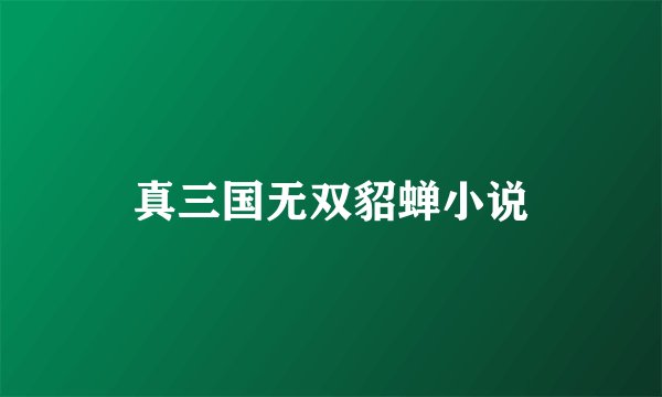 真三国无双貂蝉小说