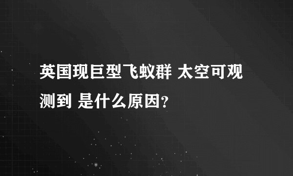 英国现巨型飞蚁群 太空可观测到 是什么原因？