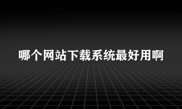 哪个网站下载系统最好用啊