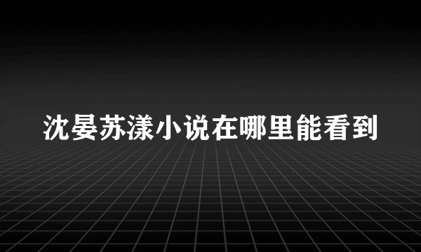 沈晏苏漾小说在哪里能看到