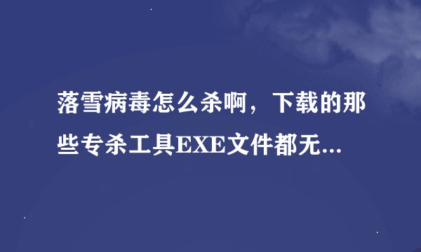 落雪病毒怎么杀啊，下载的那些专杀工具EXE文件都无法打开了，气死人，怎么办??