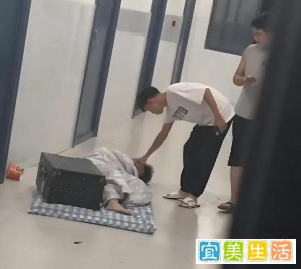 男生呼噜声震天，室友难熬集体抬到楼道，遇到打呼噜的室友怎么办
