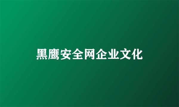 黑鹰安全网企业文化