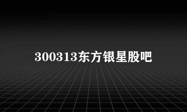 300313东方银星股吧