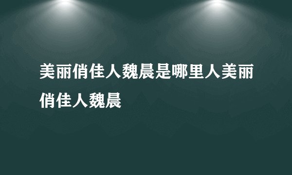 美丽俏佳人魏晨是哪里人美丽俏佳人魏晨