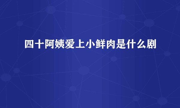 四十阿姨爱上小鲜肉是什么剧