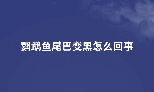 鹦鹉鱼尾巴变黑怎么回事