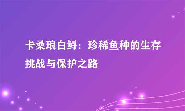 卡桑琅白鲟：珍稀鱼种的生存挑战与保护之路
