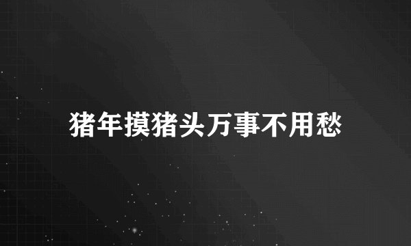 猪年摸猪头万事不用愁