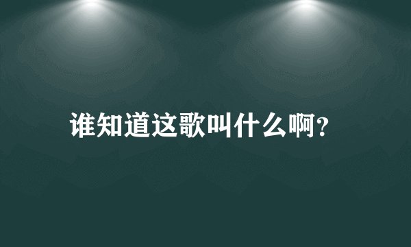 谁知道这歌叫什么啊？