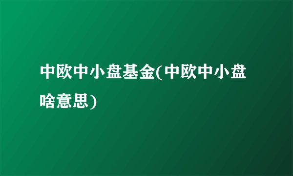 中欧中小盘基金(中欧中小盘啥意思)