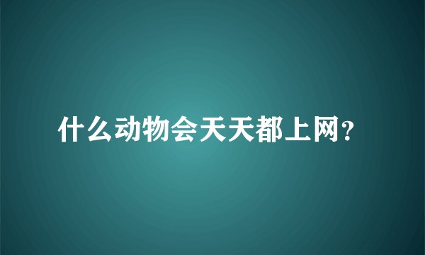 什么动物会天天都上网？