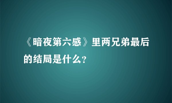 《暗夜第六感》里两兄弟最后的结局是什么？