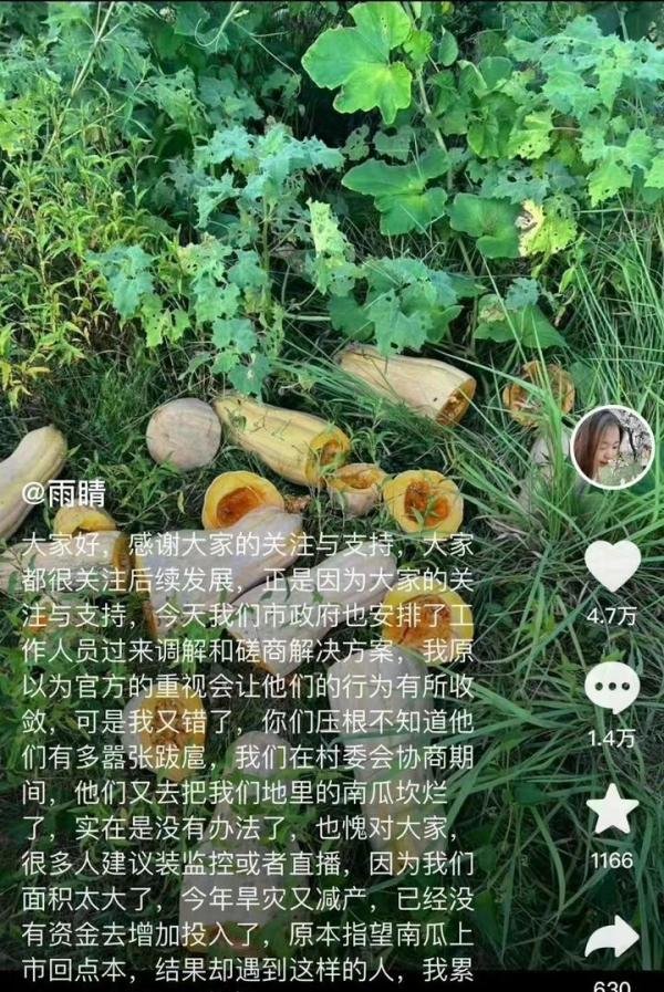 熊店村地图名称变为偷瓜村,偷南瓜的视频不见了,受害人已得到帮助