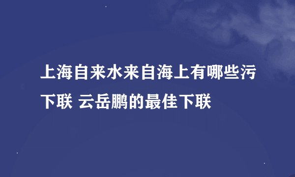 上海自来水来自海上有哪些污下联 云岳鹏的最佳下联