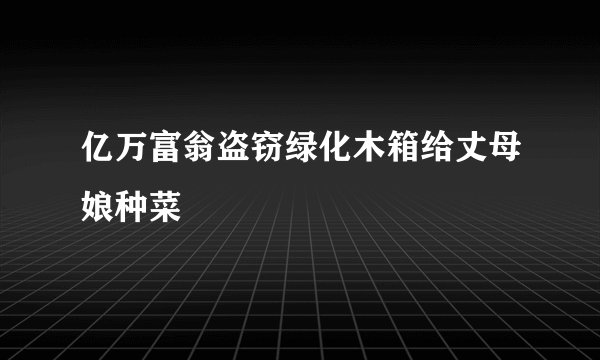 亿万富翁盗窃绿化木箱给丈母娘种菜