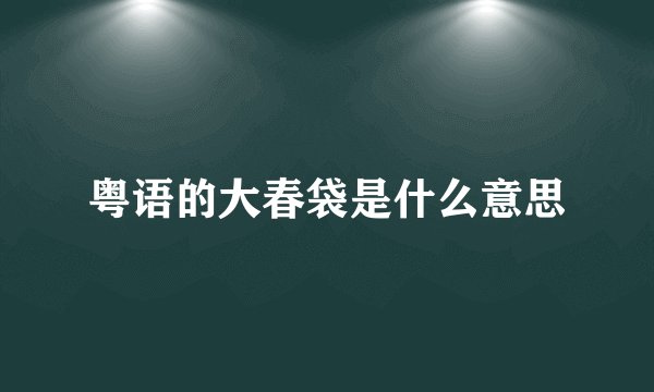 粤语的大春袋是什么意思