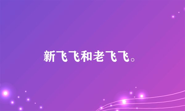 新飞飞和老飞飞。