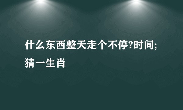 什么东西整天走个不停?时间;猜一生肖