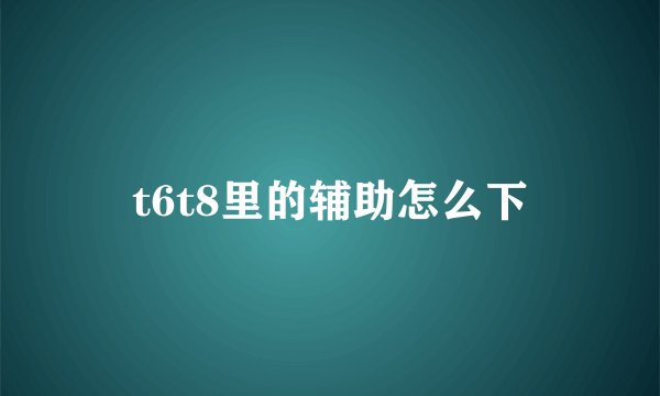 t6t8里的辅助怎么下