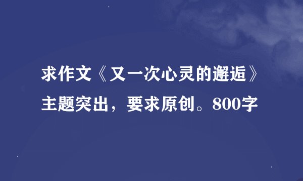 求作文《又一次心灵的邂逅》主题突出，要求原创。800字