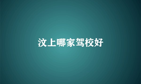 汶上哪家驾校好