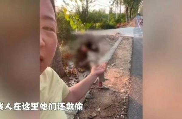 熊店村地图名称变为偷瓜村，偷南瓜的视频不见了，受害人已得到帮助