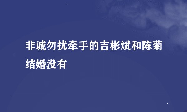 非诚勿扰牵手的吉彬斌和陈菊结婚没有