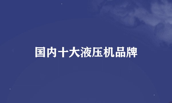 国内十大液压机品牌