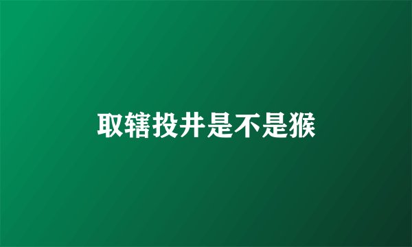 取辖投井是不是猴