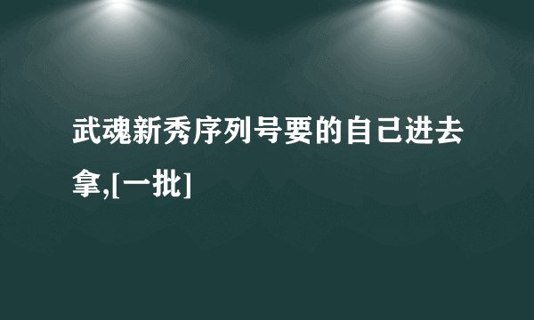 武魂新秀序列号要的自己进去拿,[一批]