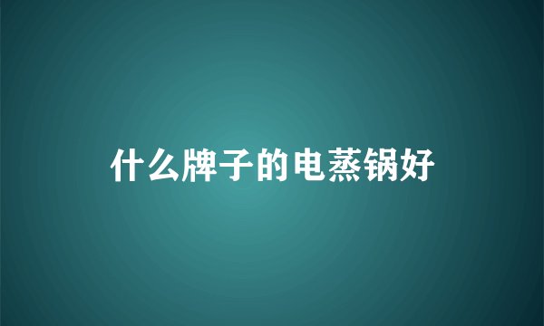 什么牌子的电蒸锅好