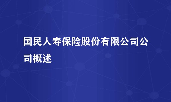 国民人寿保险股份有限公司公司概述