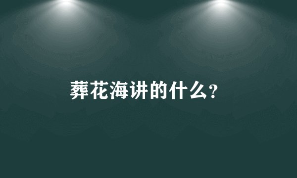 葬花海讲的什么？