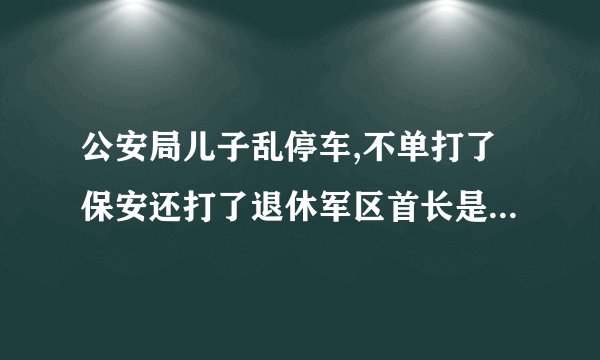 公安局儿子乱停车,不单打了保安还打了退休军区首长是那套电视剧