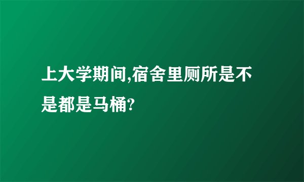 上大学期间,宿舍里厕所是不是都是马桶?
