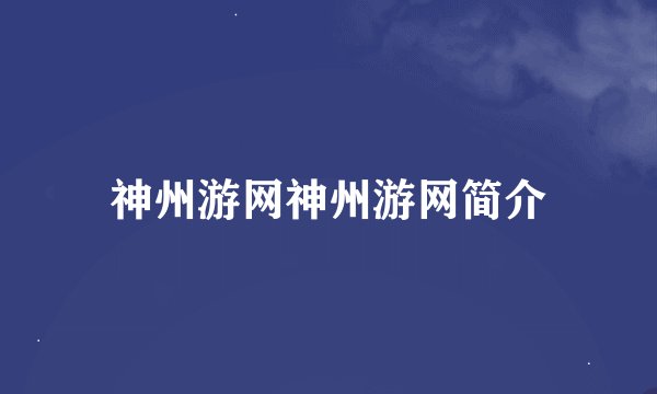 神州游网神州游网简介
