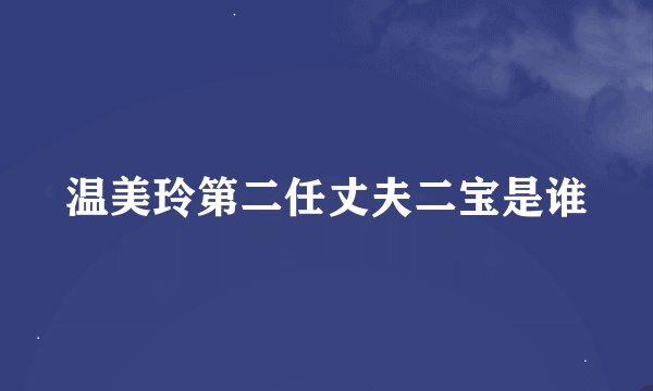 温美玲第二任丈夫二宝是谁