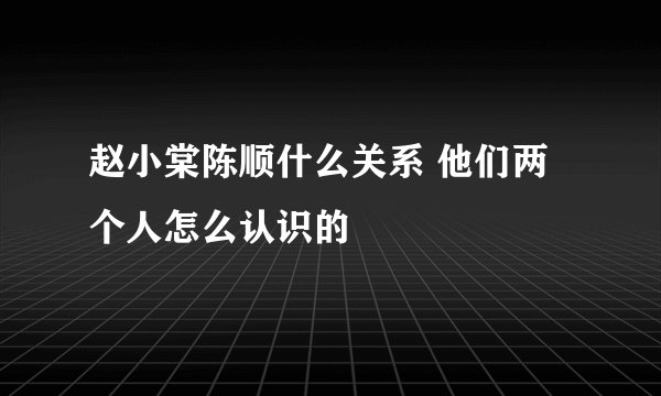 赵小棠陈顺什么关系 他们两个人怎么认识的