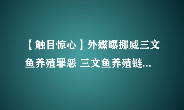 【触目惊心】外媒曝挪威三文鱼养殖罪恶 三文鱼养殖链的“数宗罪恶”