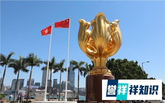 港警国安处首战告捷，3男1女共4名成员落网！