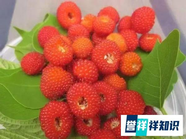 生于70年代