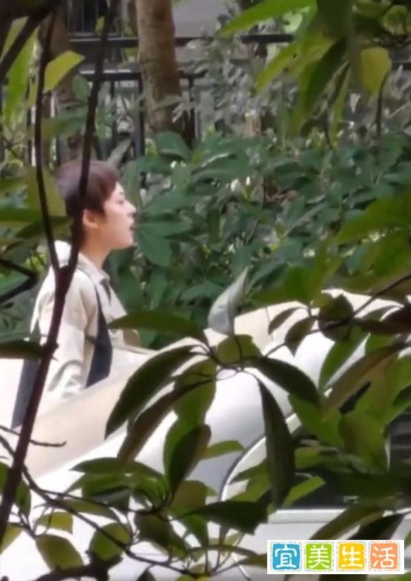 孙俪被偷拍状态受影响，无奈中途叫停拍摄，因这一举动被指耍大牌