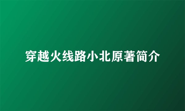 穿越火线路小北原著简介