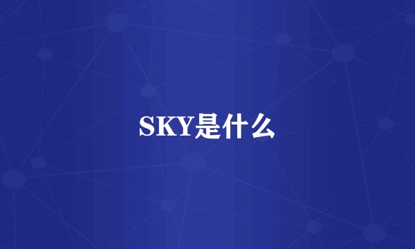 SKY是什么